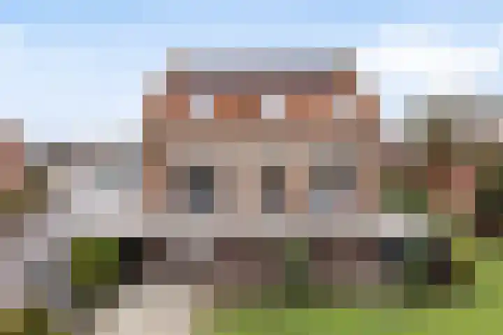 Gatsedijk 11 Maasdam thumbnail 55