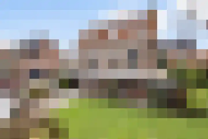 Gatsedijk 11 Maasdam thumbnail 56