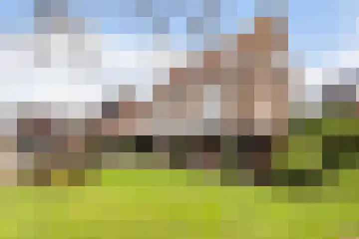 Gatsedijk 11 Maasdam thumbnail 57