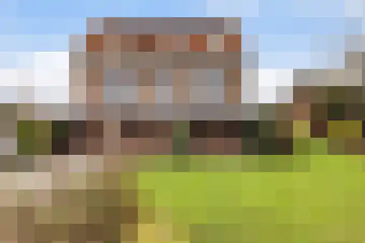 Gatsedijk 11 Maasdam thumbnail 58