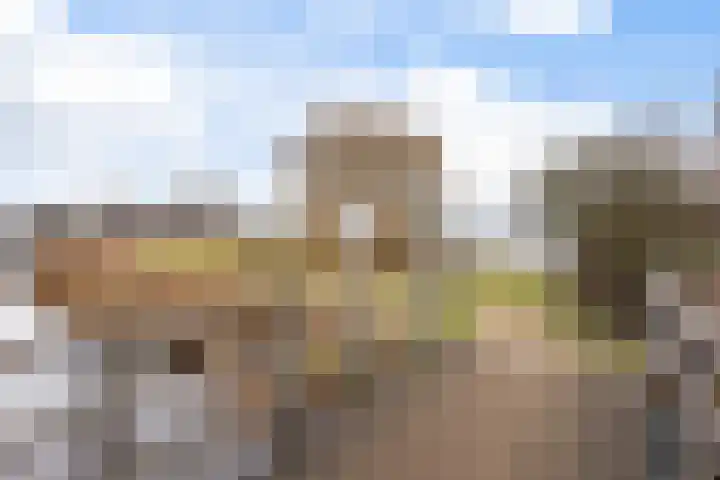Gatsedijk 11 Maasdam thumbnail 59