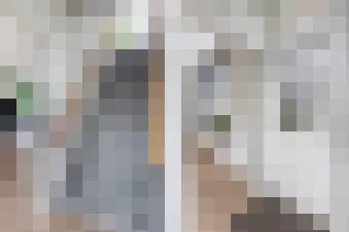 Gatsedijk 11 Maasdam thumbnail 6