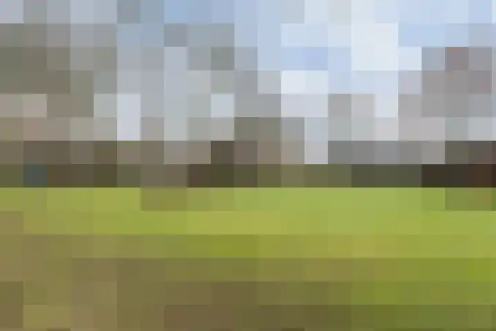 Gatsedijk 11 Maasdam thumbnail 61