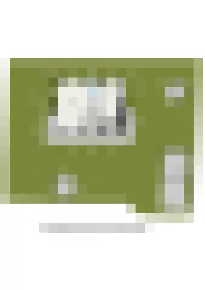 Gatsedijk 11 Maasdam thumbnail 69