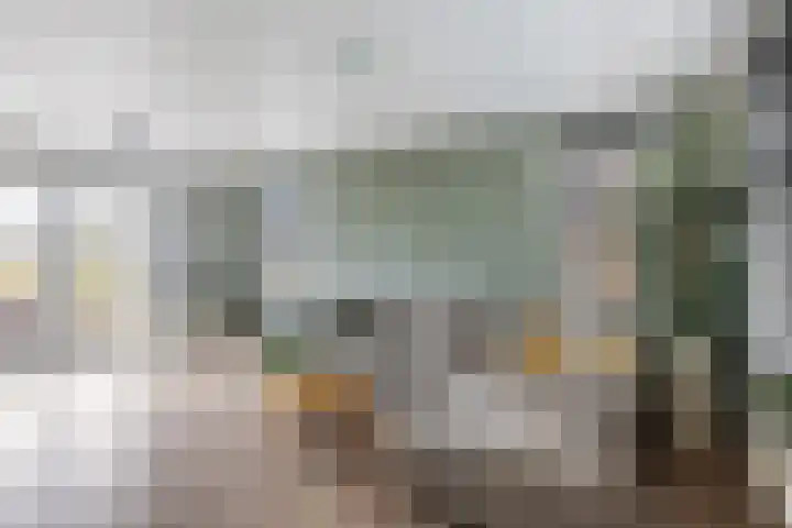 Gatsedijk 11 Maasdam thumbnail 7