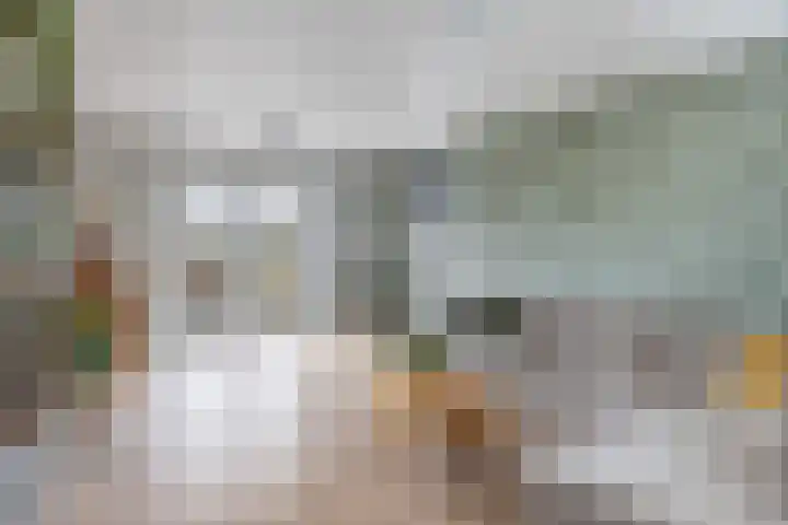 Gatsedijk 11 Maasdam thumbnail 8