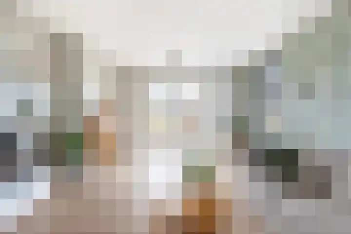 Gatsedijk 11 Maasdam thumbnail 9