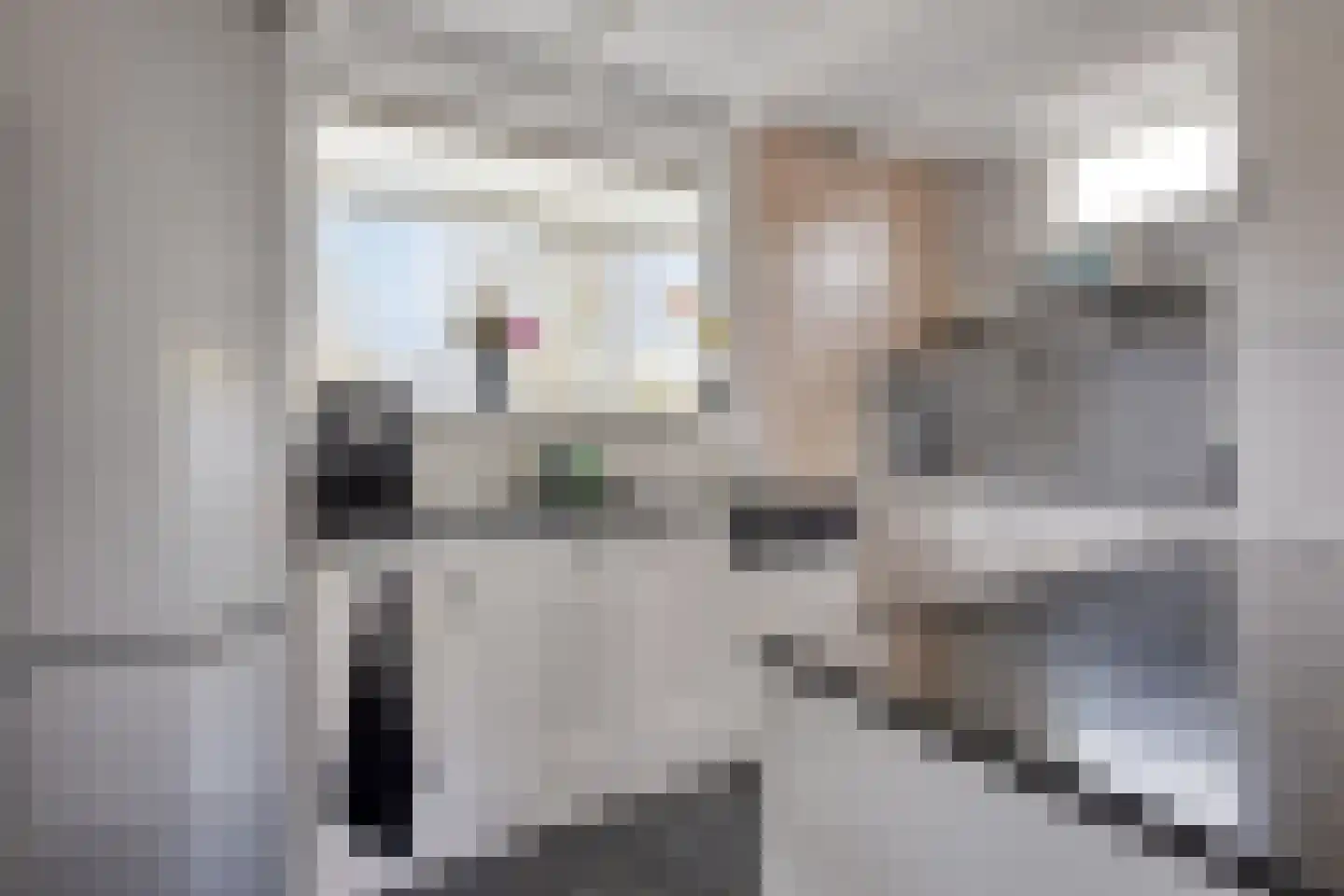 Gatsedijk 62 Maasdam thumbnail 11