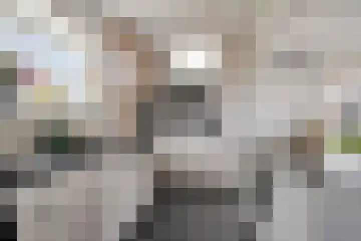 Gatsedijk 62 Maasdam thumbnail 12