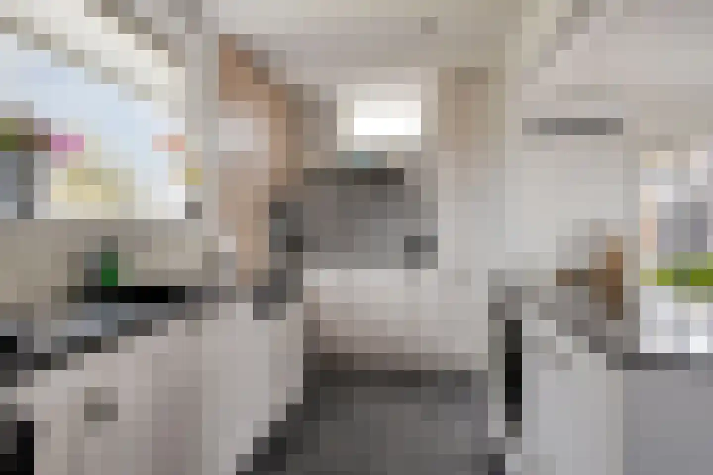 Gatsedijk 62 Maasdam thumbnail 12