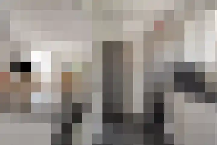 Gatsedijk 62 Maasdam thumbnail 13