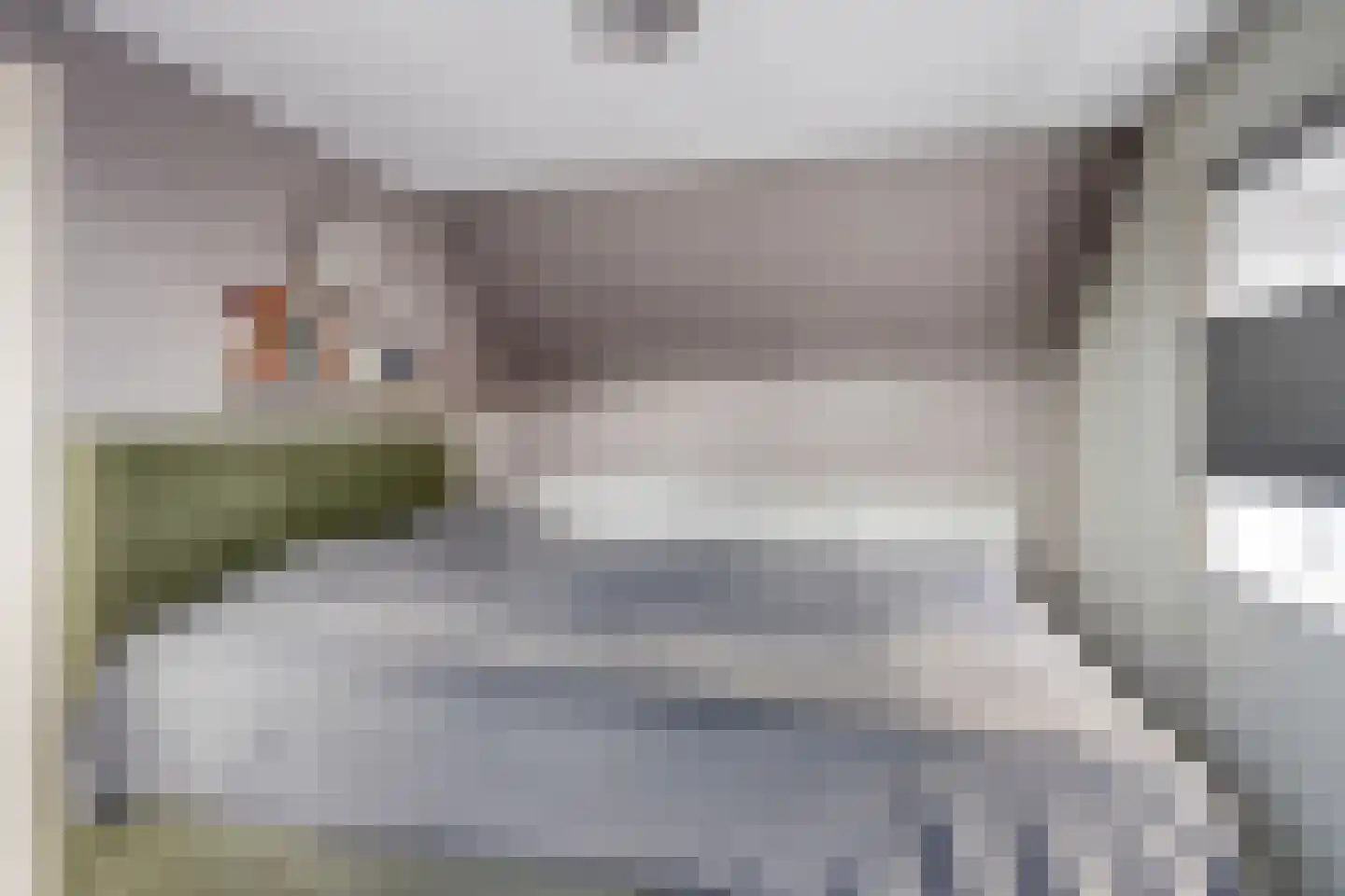 Gatsedijk 62 Maasdam thumbnail 15