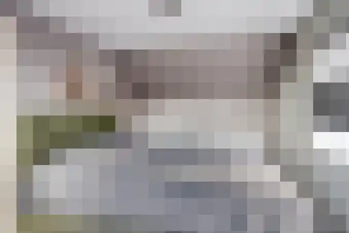 Gatsedijk 62 Maasdam thumbnail 15
