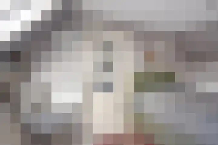 Gatsedijk 62 Maasdam thumbnail 16