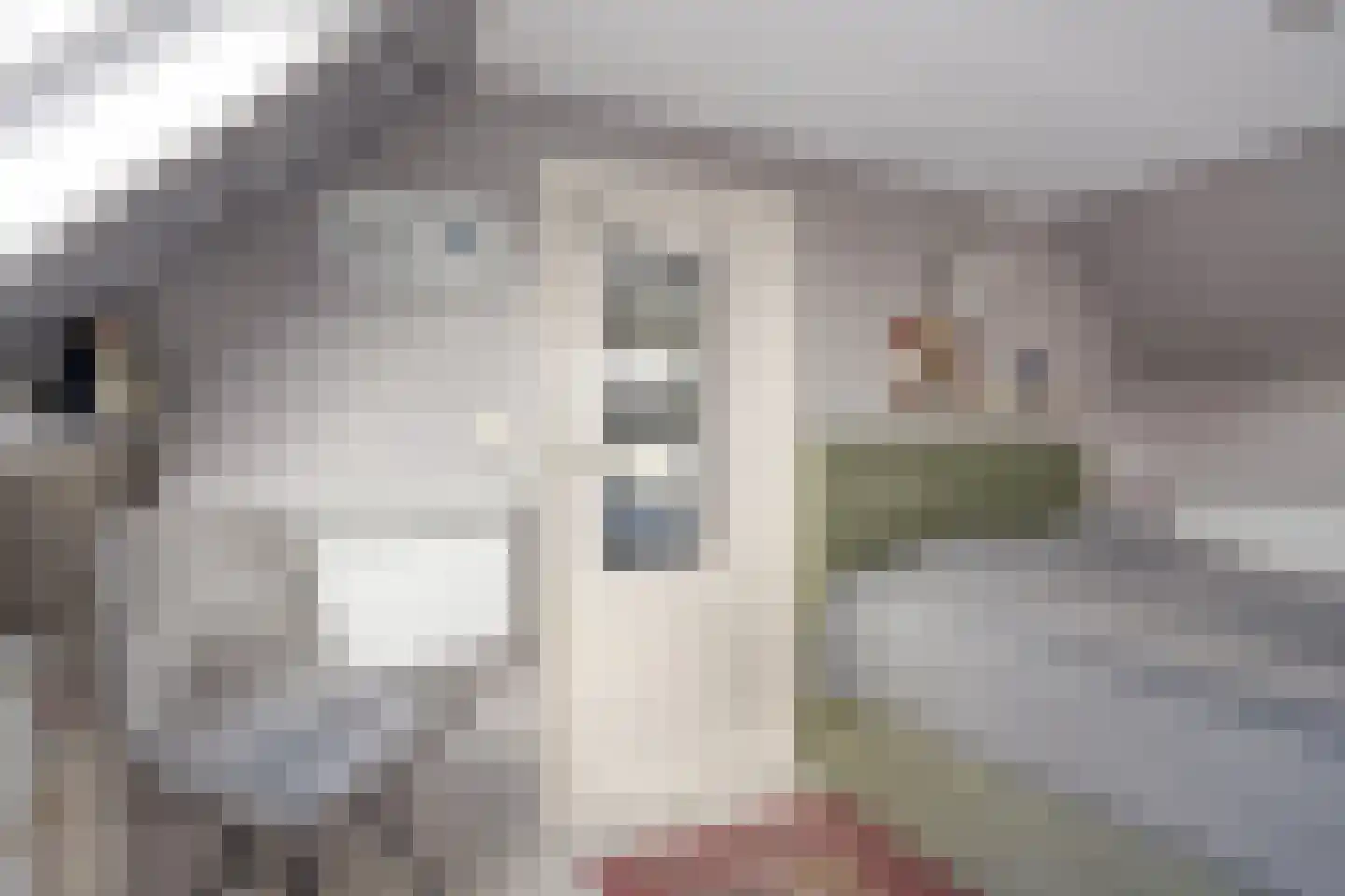 Gatsedijk 62 Maasdam thumbnail 16