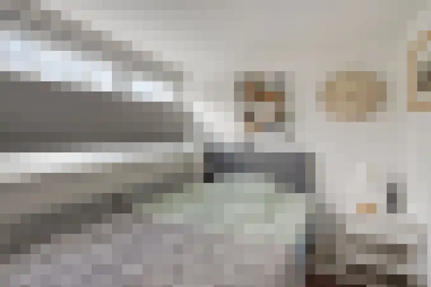 Gatsedijk 62 Maasdam thumbnail 17