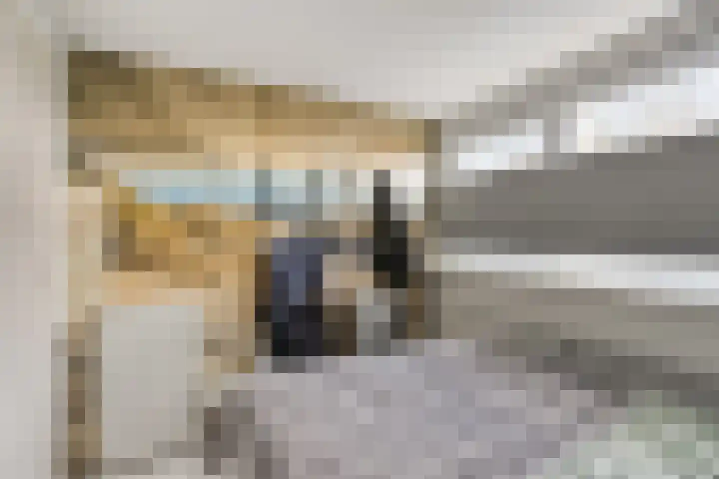 Gatsedijk 62 Maasdam thumbnail 18