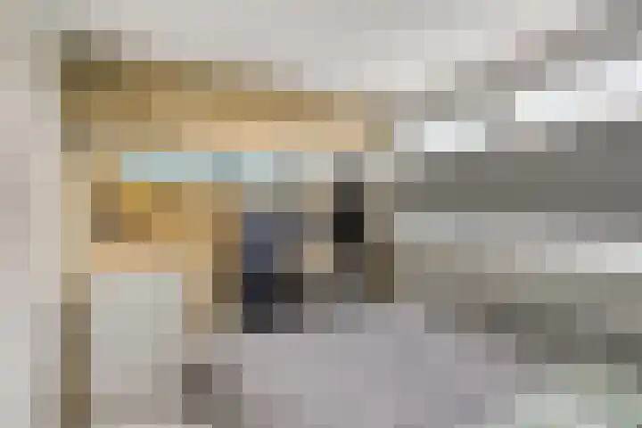 Gatsedijk 62 Maasdam thumbnail 18