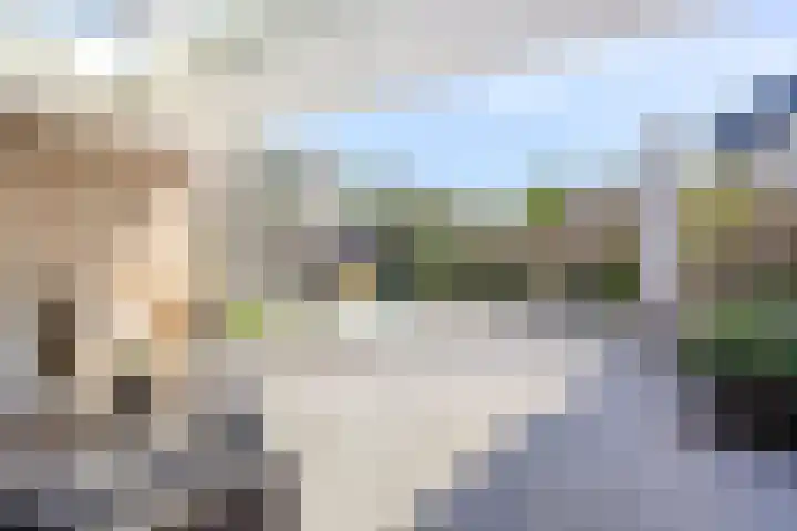 Gatsedijk 62 Maasdam thumbnail 19
