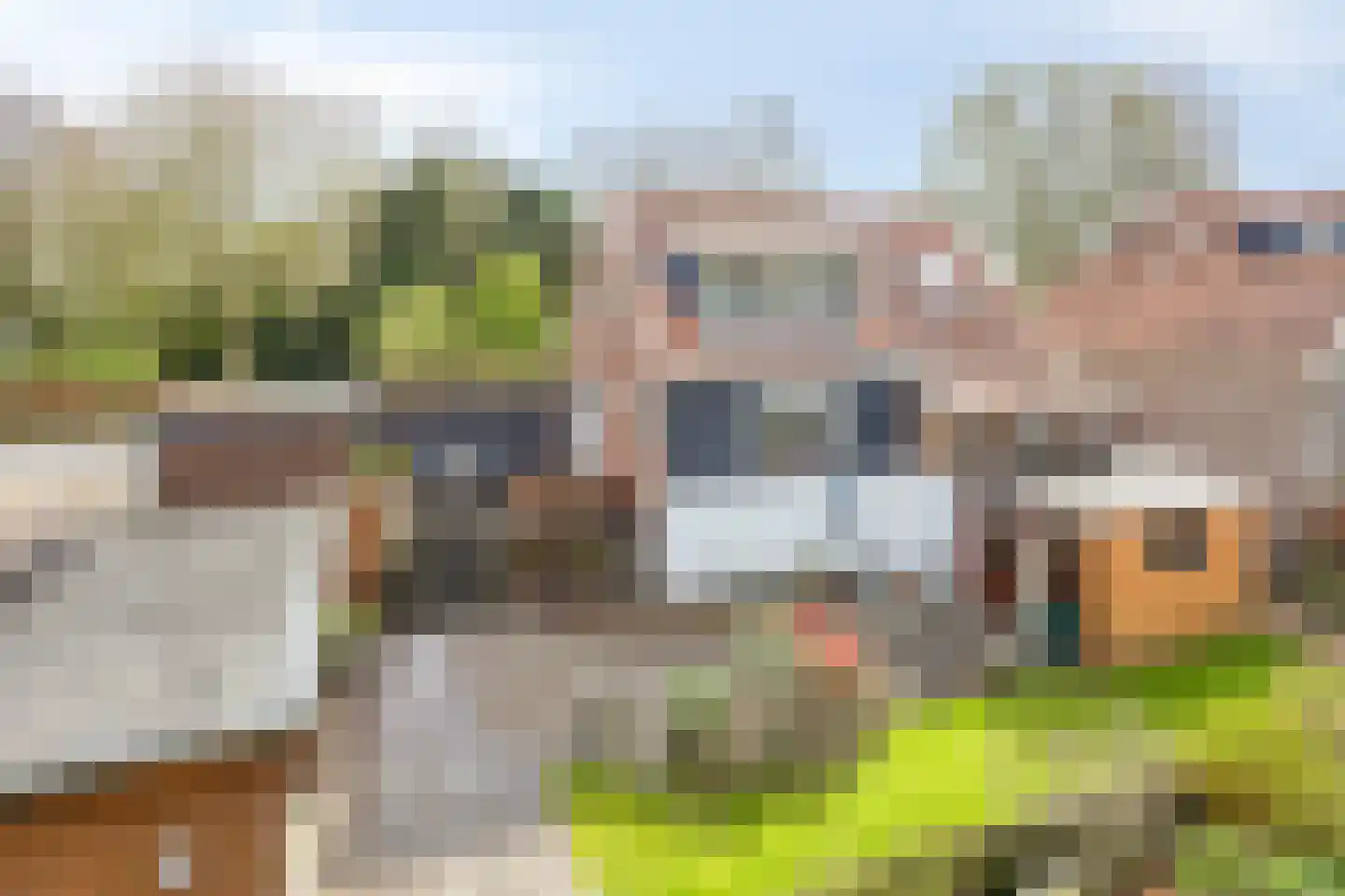 Gatsedijk 62 Maasdam foto 2