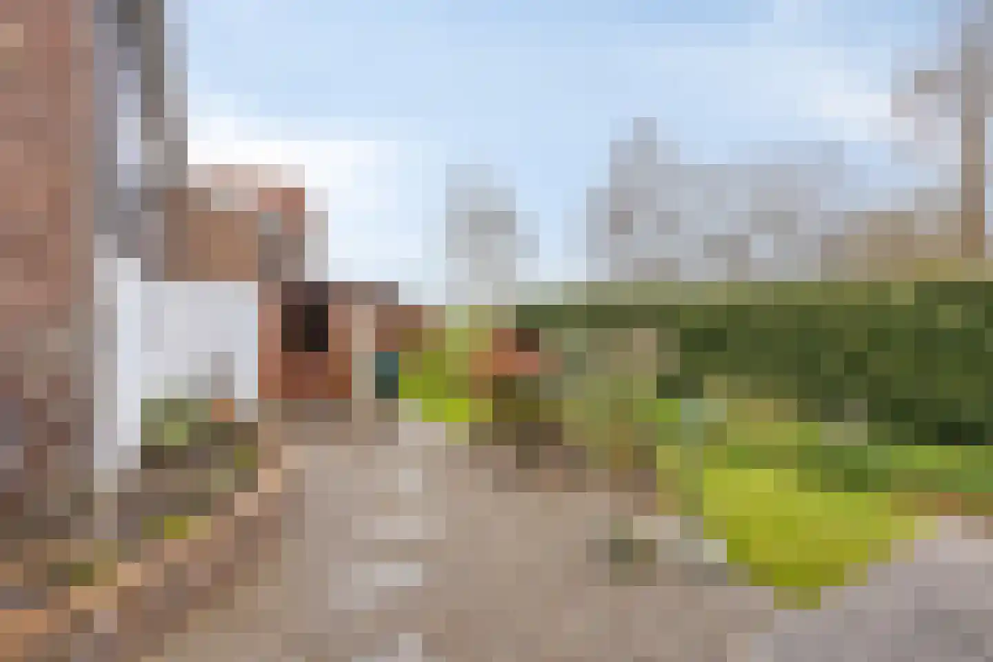 Gatsedijk 62 Maasdam thumbnail 22