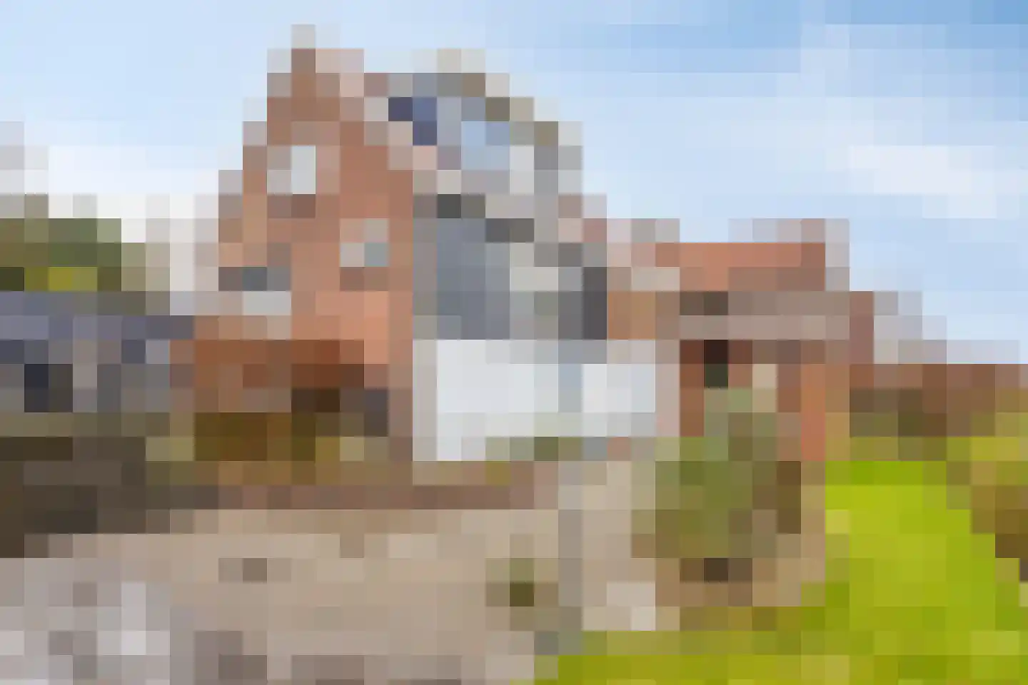 Gatsedijk 62 Maasdam thumbnail 23