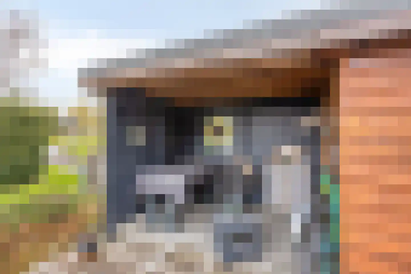 Gatsedijk 62 Maasdam thumbnail 24