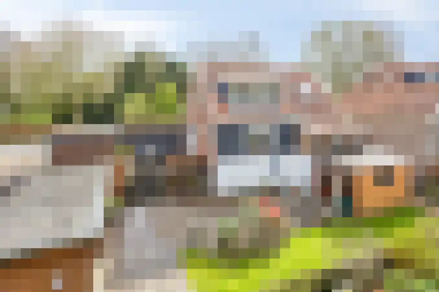 Gatsedijk 62 Maasdam thumbnail 26