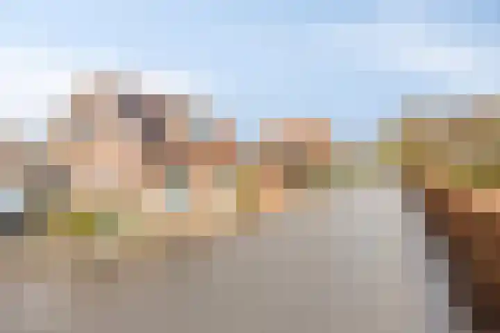 Gatsedijk 62 Maasdam thumbnail 31