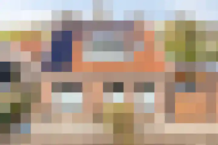 Gatsedijk 62 Maasdam thumbnail 32