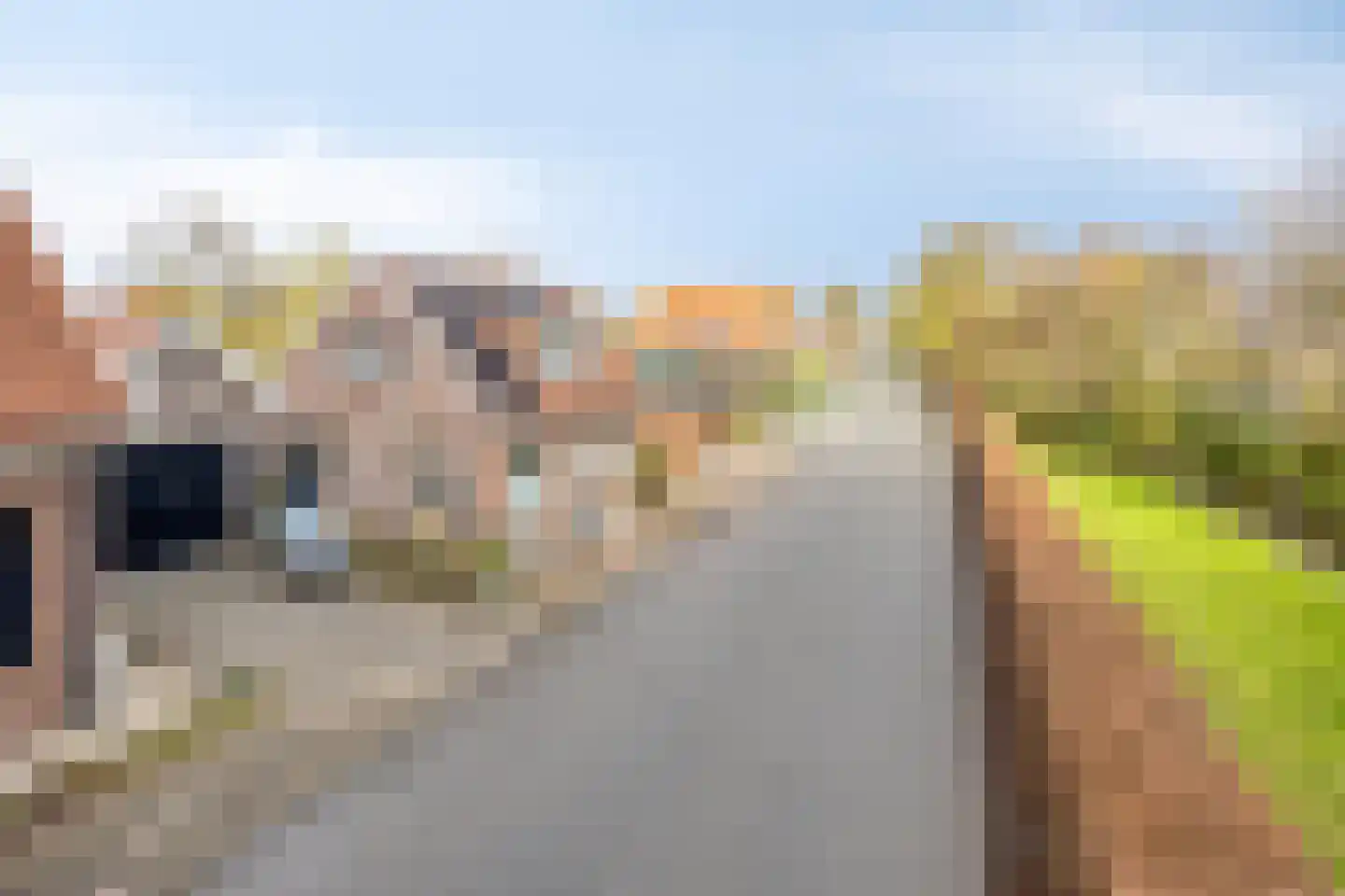 Gatsedijk 62 Maasdam thumbnail 33