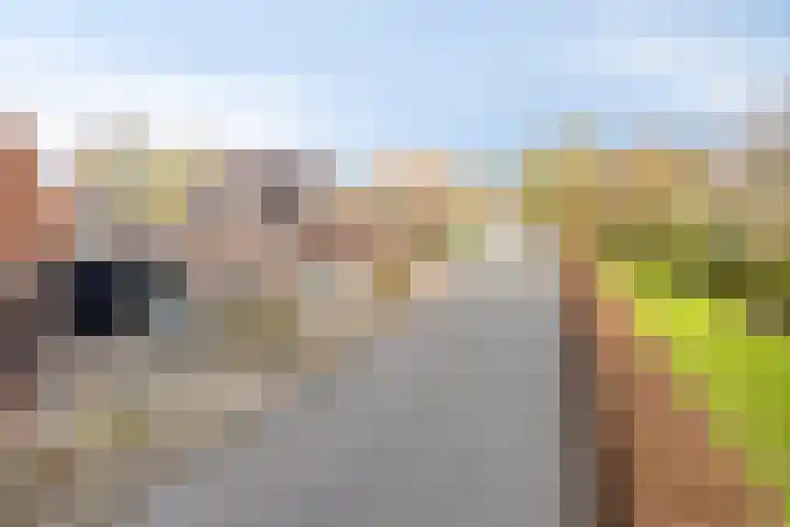 Gatsedijk 62 Maasdam thumbnail 33