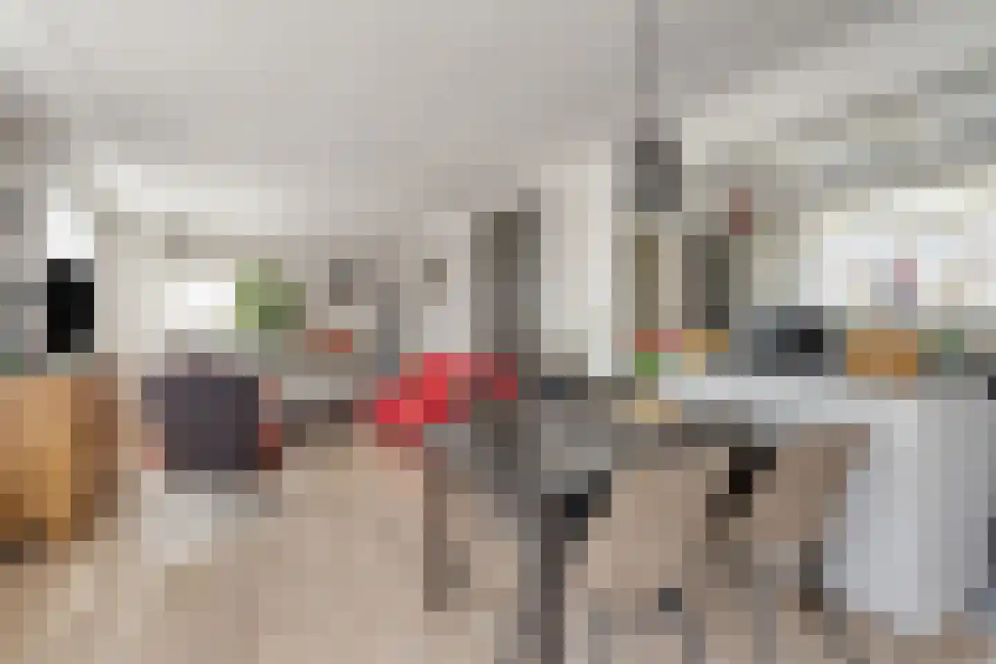 Gatsedijk 62 Maasdam thumbnail 6
