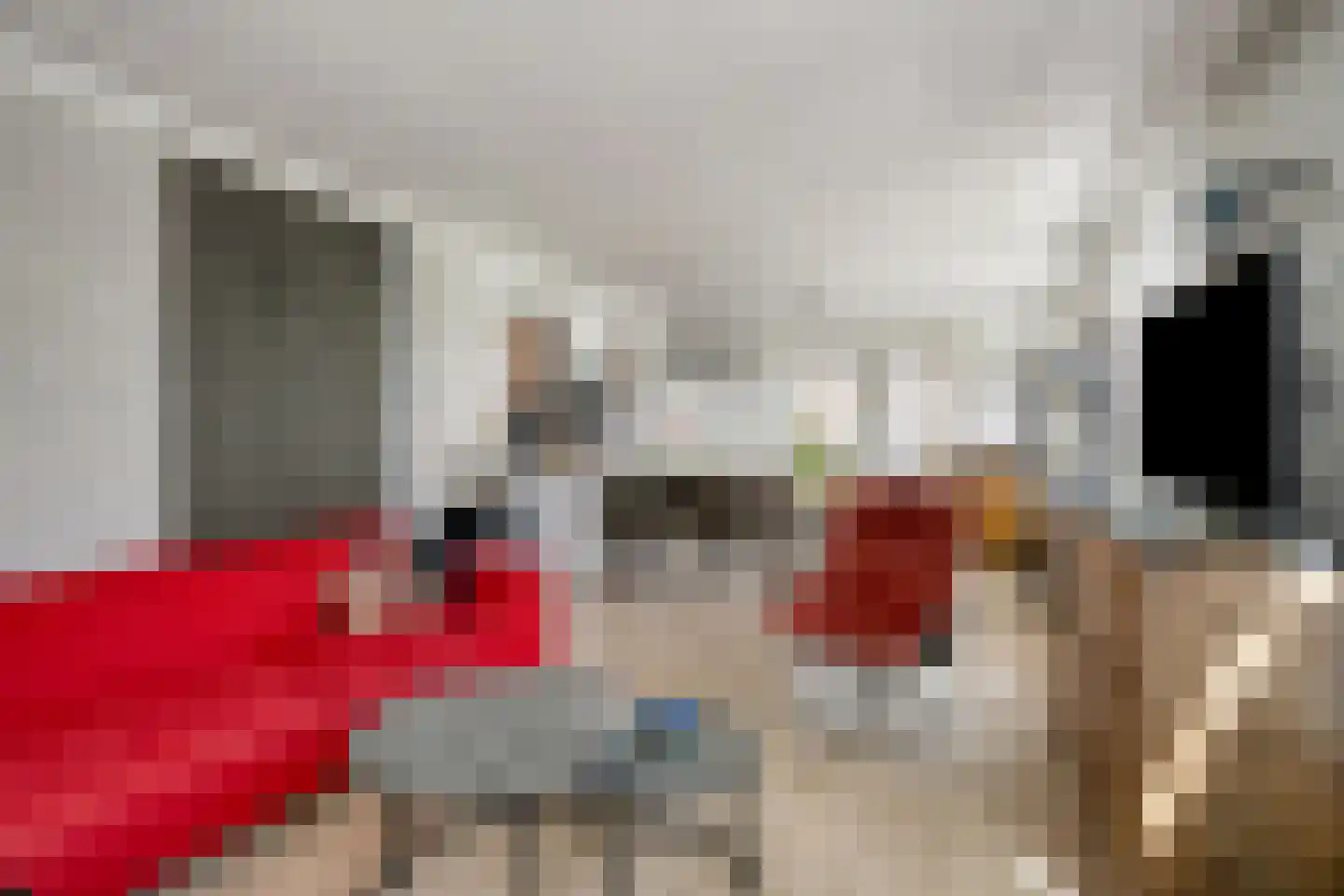 Gatsedijk 62 Maasdam thumbnail 8
