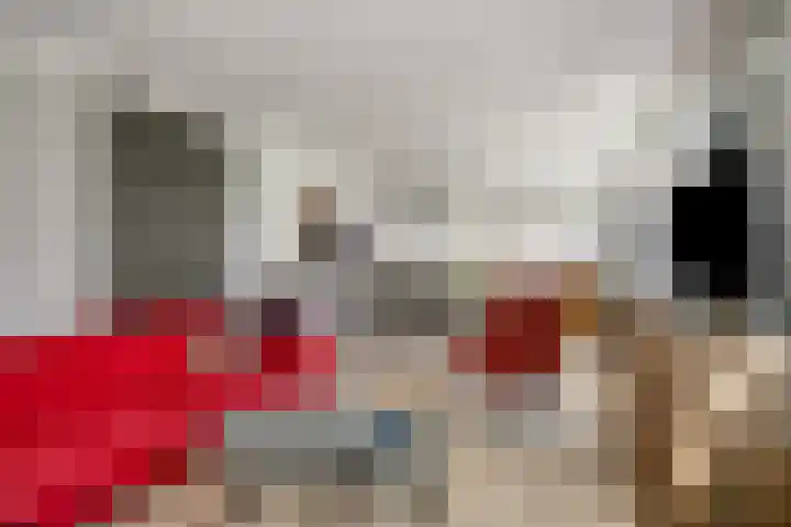 Gatsedijk 62 Maasdam thumbnail 8