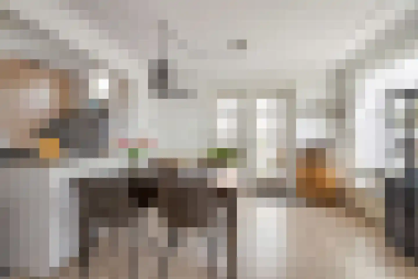 Gatsedijk 62 Maasdam thumbnail 9