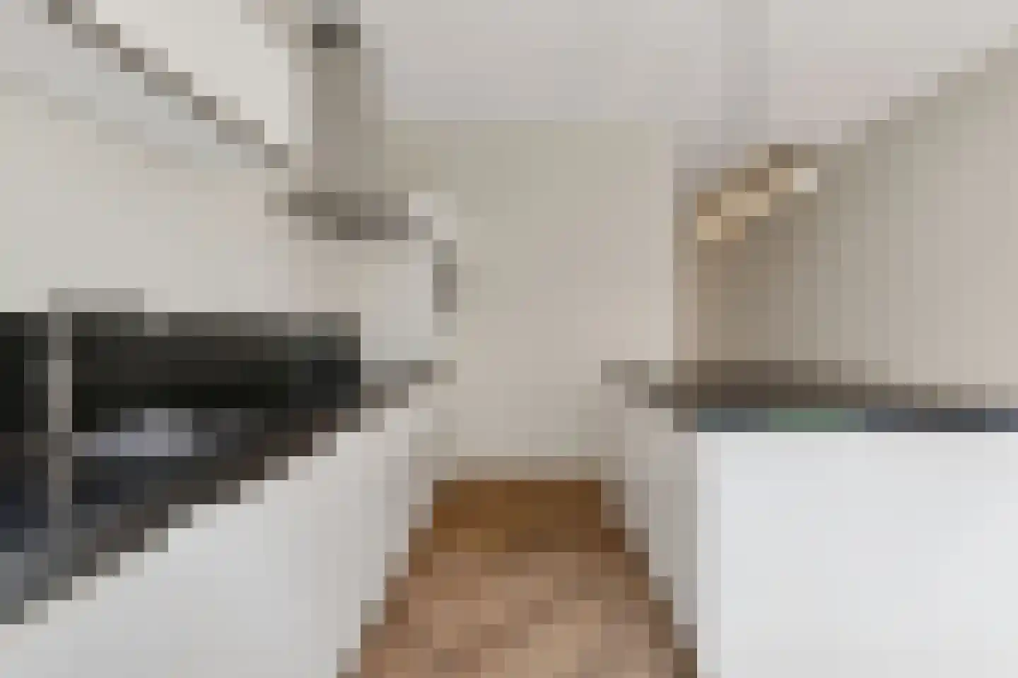 Gaudikade 15 Hoofddorp thumbnail 32
