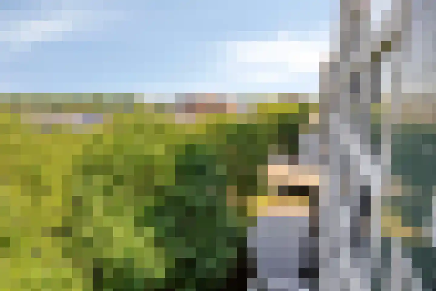 Gaudikade 47 Hoofddorp thumbnail 24