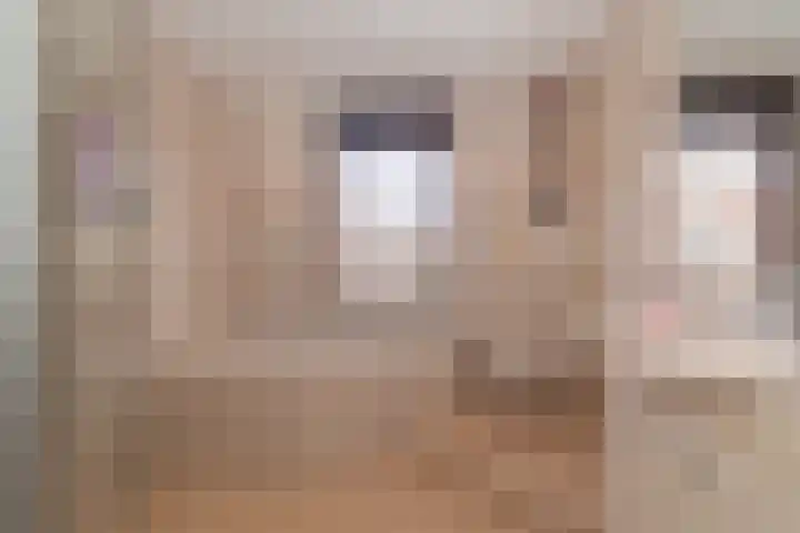 Gaudilijn 11 Zoetermeer thumbnail 17