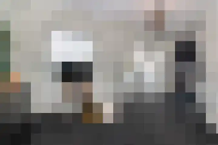 Gaudilijn 11 Zoetermeer thumbnail 22