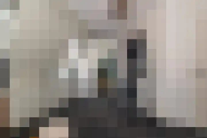 Gaudilijn 11 Zoetermeer thumbnail 23