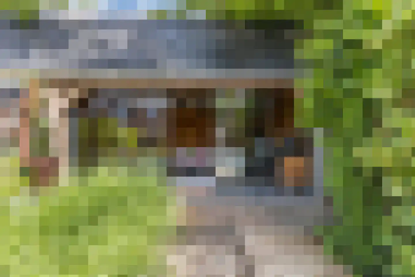 Gauke Boelensstraat 104 Drachten thumbnail 54