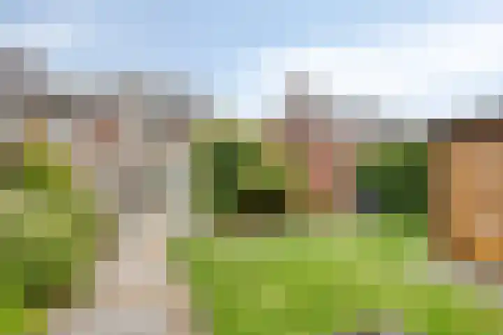 Gauke Boelensstraat 77 Drachten thumbnail 51
