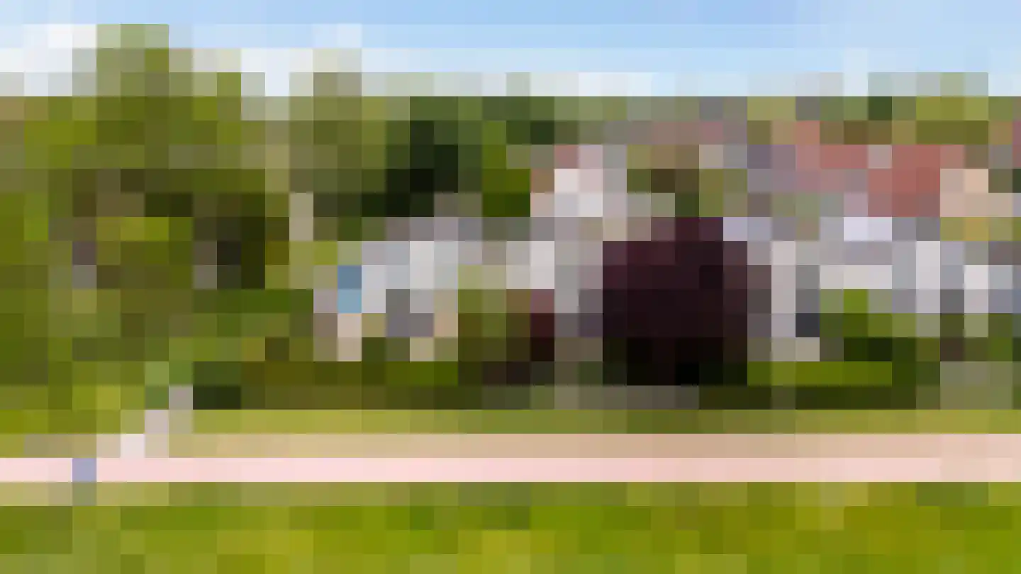 Gaumastate 4 Leeuwarden thumbnail 12
