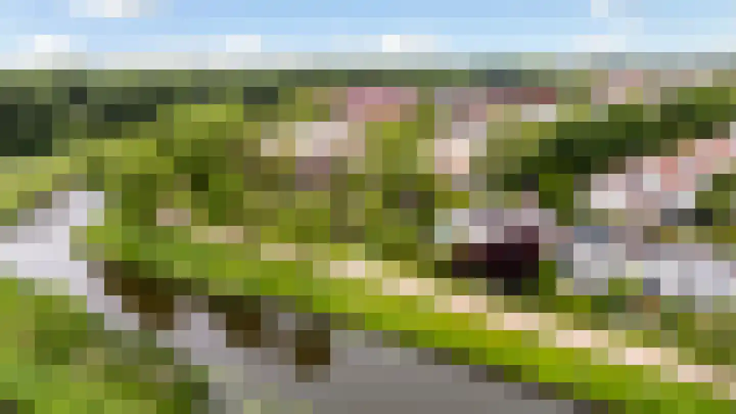 Gaumastate 4 Leeuwarden thumbnail 13