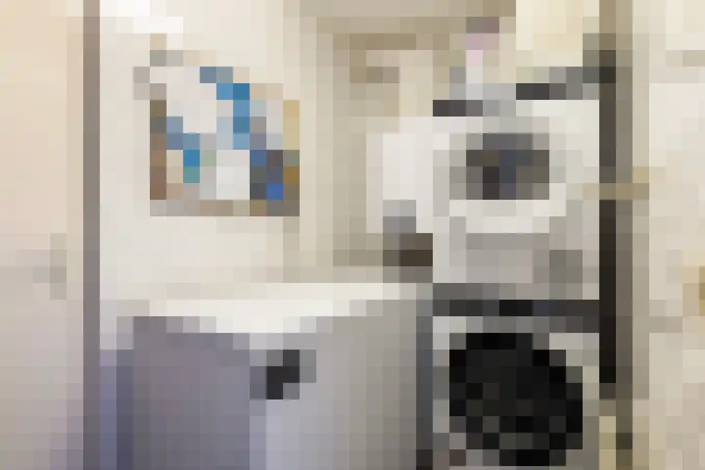 Gaumastate 4 Leeuwarden thumbnail 23