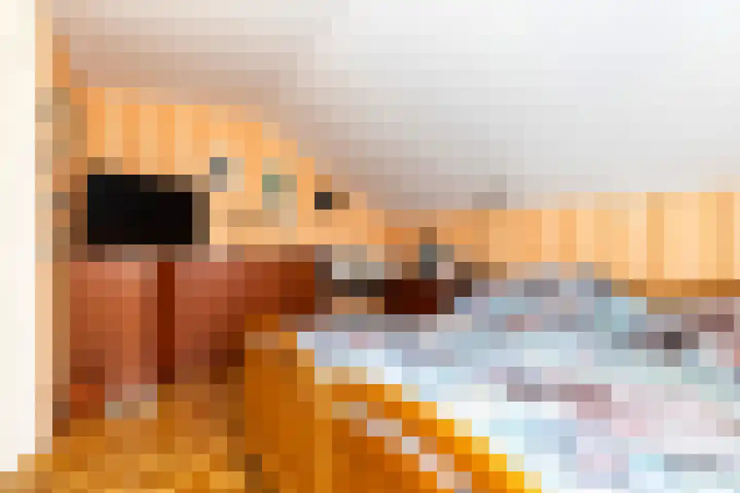 Gaumastate 4 Leeuwarden thumbnail 28