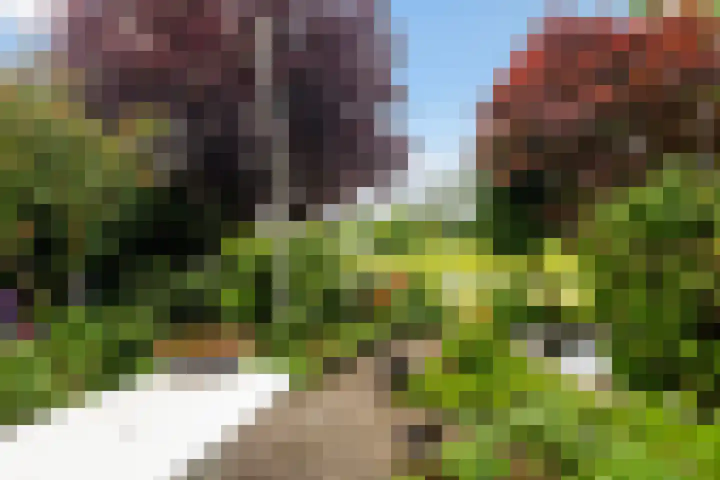 Gaumastate 4 Leeuwarden thumbnail 6