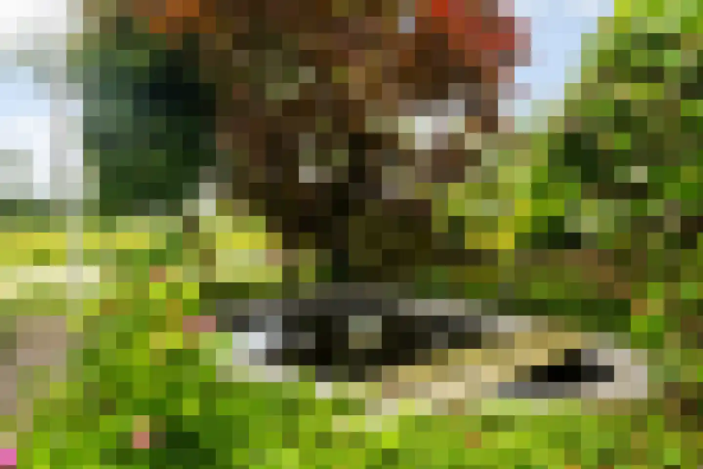 Gaumastate 4 Leeuwarden thumbnail 7