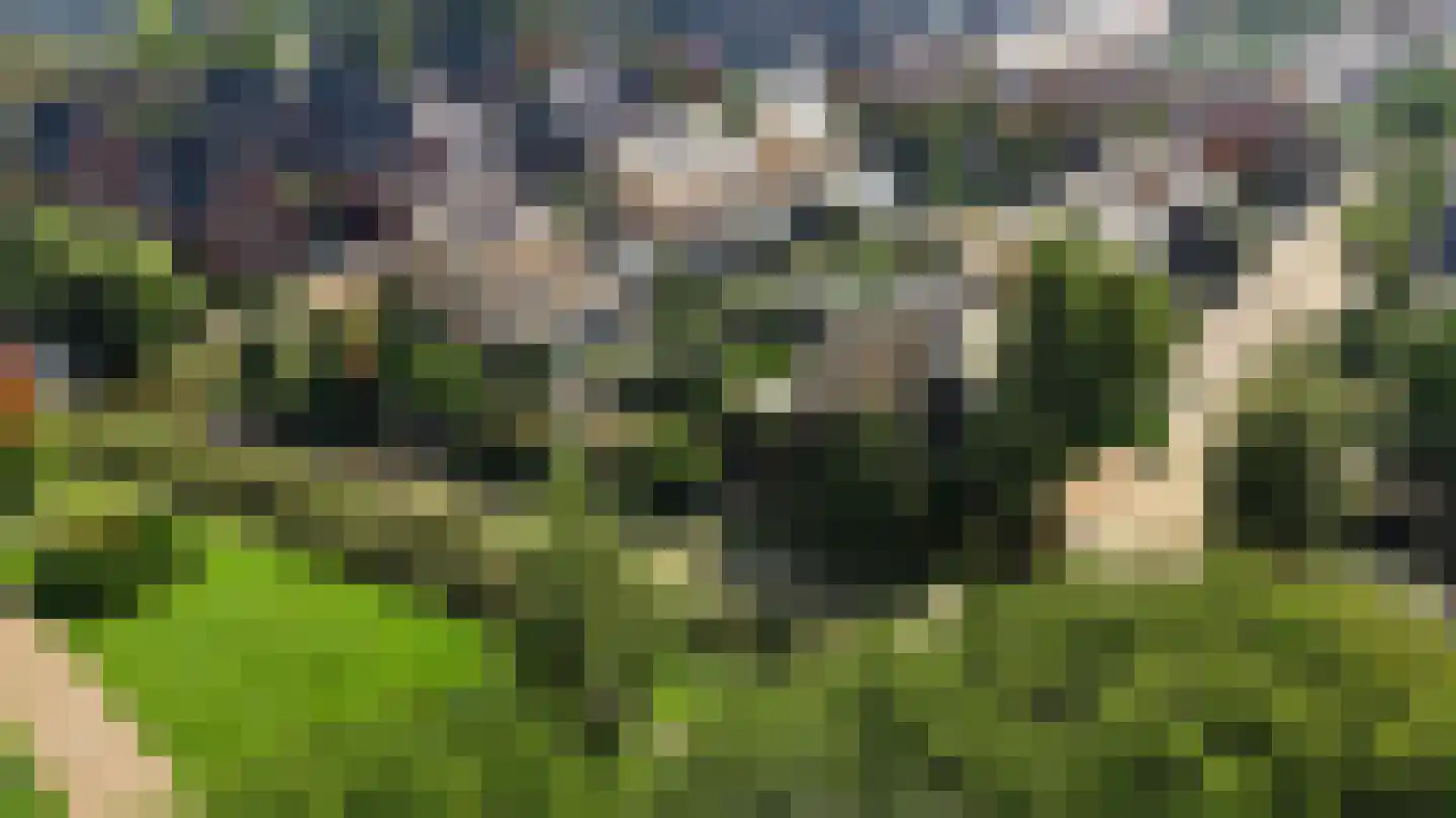 Gavel 5 Hooglanderveen thumbnail 13